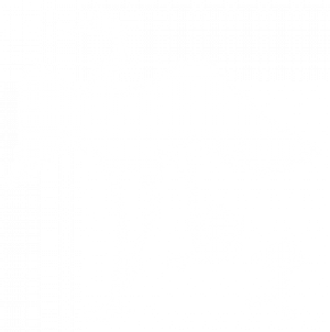 ПНГ АИСТ 2